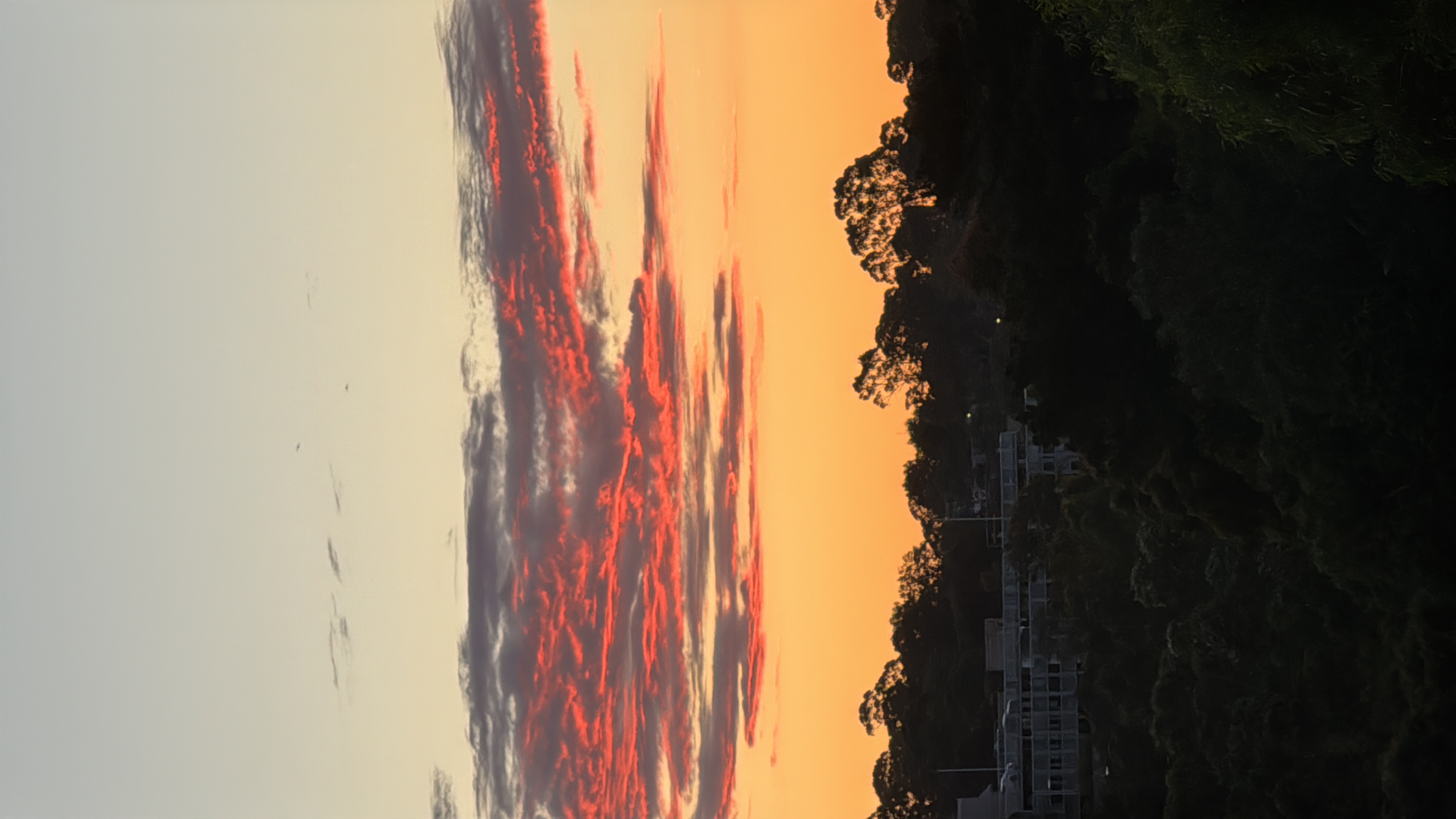 Media 6ed956e8-f1a2-4d03-89a8-f8d660369b15